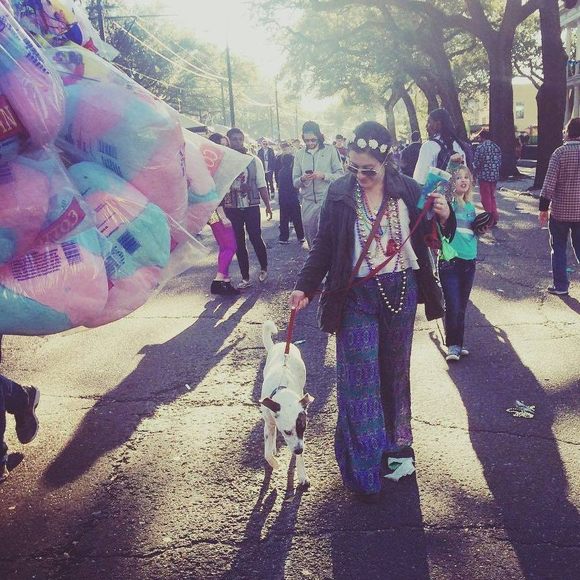 Meet your Posher, Maria