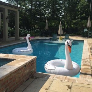 Meet your Posher, Kendy