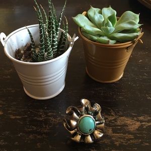 ✨HP✨ Turquoise and silver like ring