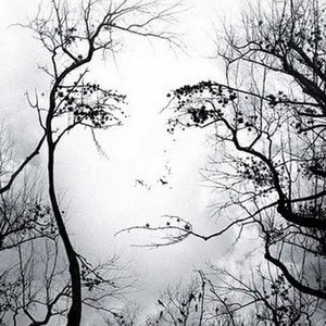 Meet your Posher, Glennis