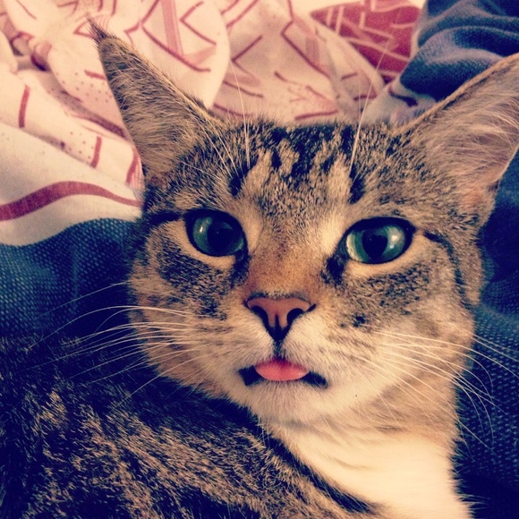 Meet your Posher, Ishani