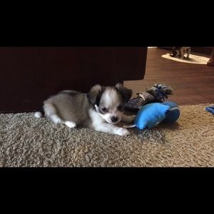 Meet your Posher, Jami