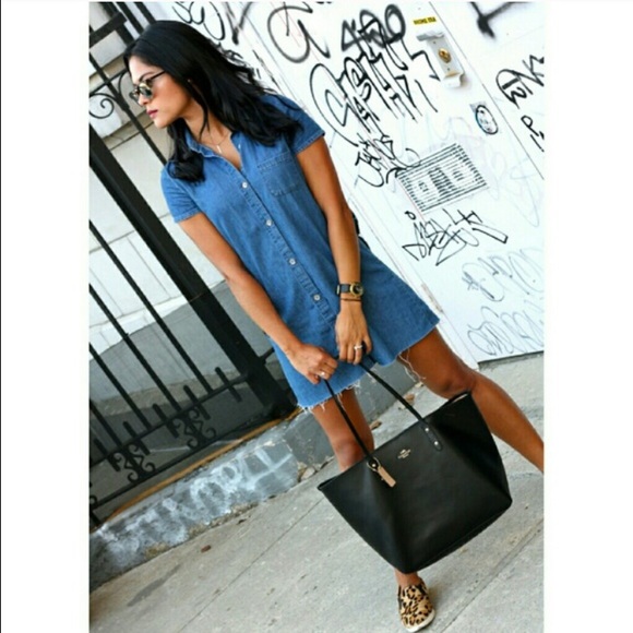 Zara front button denim dress