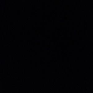 Meet your Posher, Taryn