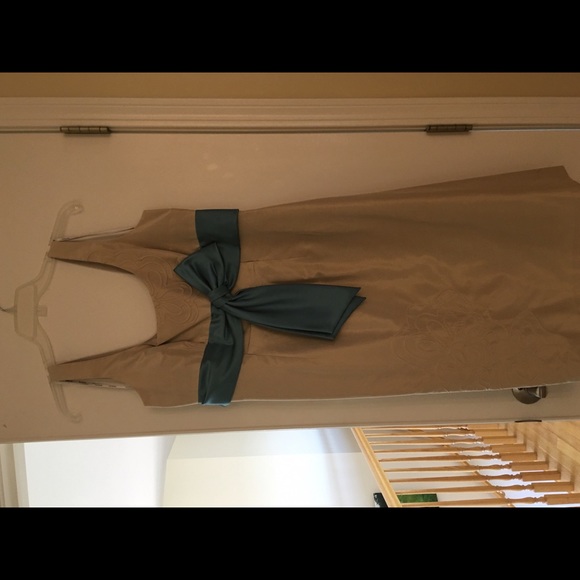 Gorgeous Kay Unger Dress