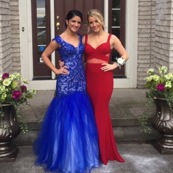 Meet your Posher, Lolly - Picture 1 of 1