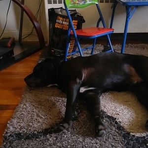 Meet your Posher, Desiree