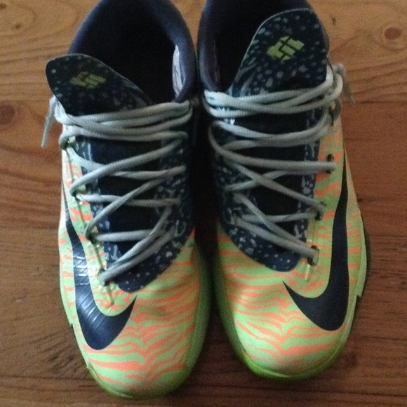 Kd 6 ligers(will negotiate on price)👌