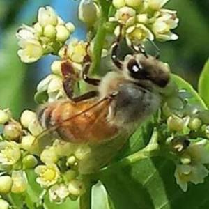 Meet your Posher, Mandy