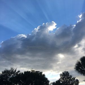 Meet your Posher, Sophia