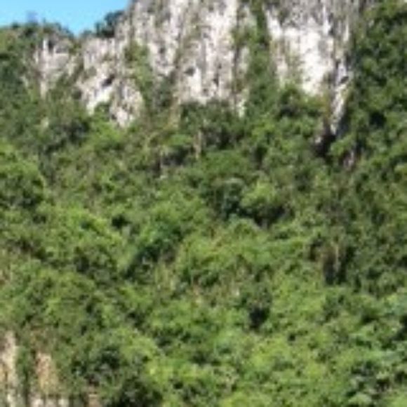 Meet your Posher, Giannie