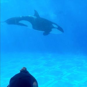 Meet your Posher, Marcela