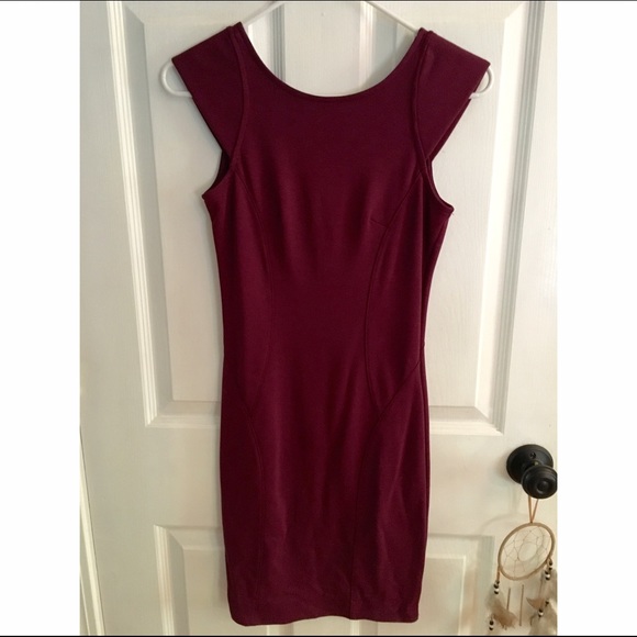 NWT Burgundy Fitted Dress