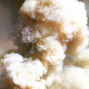 Meet your Posher, Philip