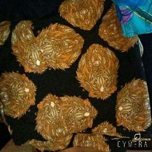 Size TC LIONS LULAROE