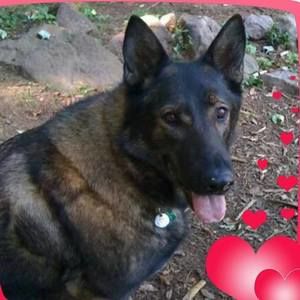 Meet your Posher, Sylvia