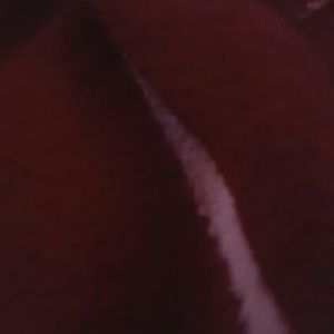 Meet your Posher, Lynnette