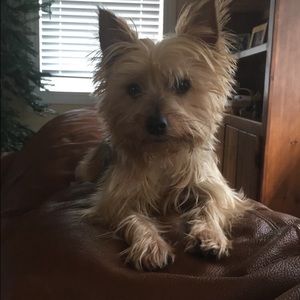 Meet your Posher, Stacey