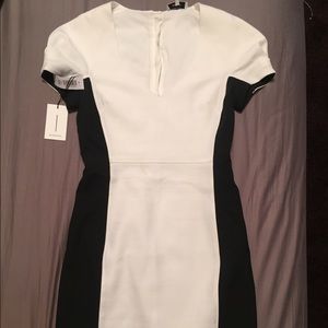 NWT ARITZIA COLORBLOCK DRESS
