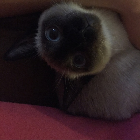 Welcome to My Closet! 💗 - Picture 3 of 3