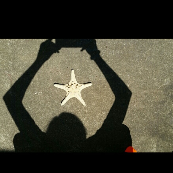 Starfish - Picture 2 of 3