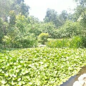 Meet your Posher, Sofia