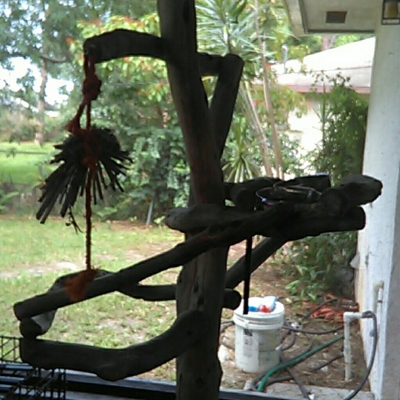 Bird tree stand.