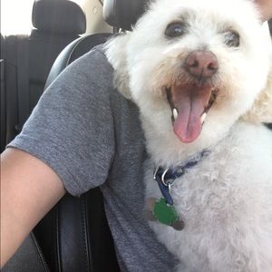 Meet your Posher, Samantha