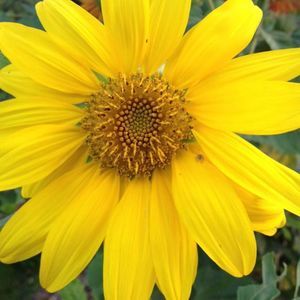 Meet your Posher, Terry