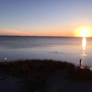 Meet your Posher, Joanne