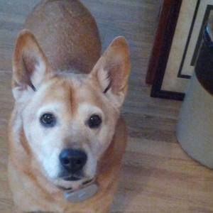 Meet your Posher, Mary