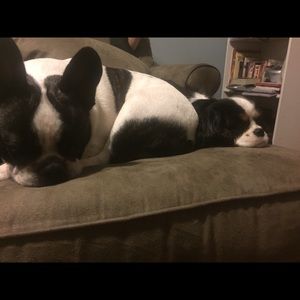 Meet your Posher, Anne