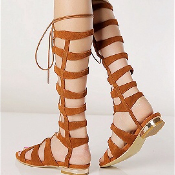 Brown Suede Knee High Lace-up Gladiator Sandal