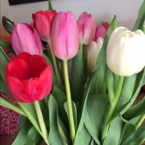 Meet your Posher, Sasha