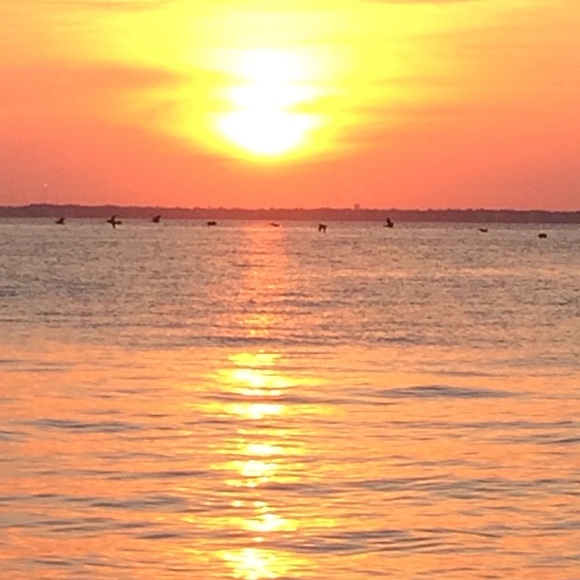 Meet your Posher, Lindsey