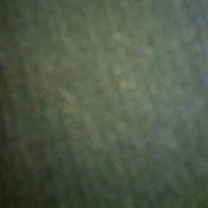 Meet your Posher, Roxanne