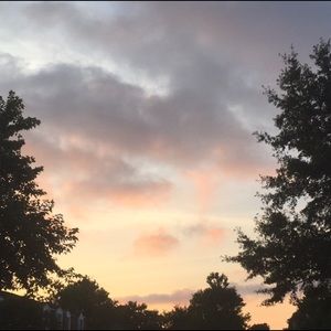 Meet your Posher, Alea