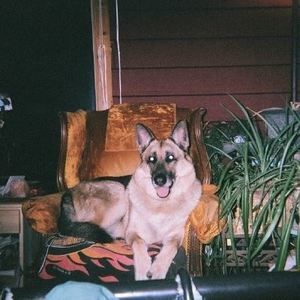 Meet your Posher, Rochelle