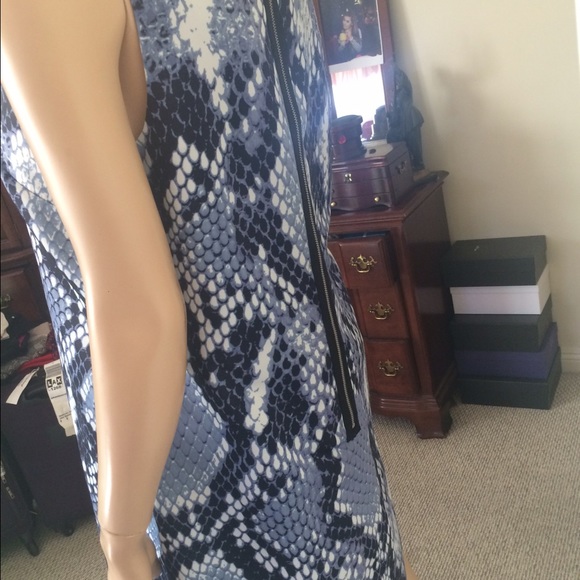 NEW CeCe Dress 🎀 - Picture 3 of 3