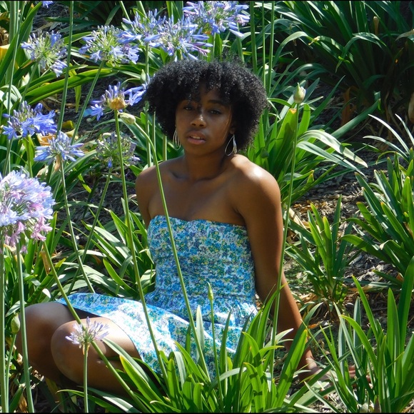 Meet your Posher, Skye - Picture 1 of 1