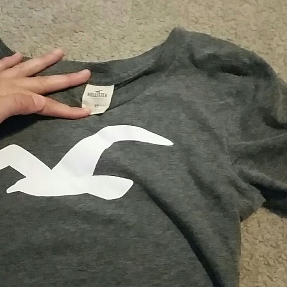 XS Gray & White hollister tee