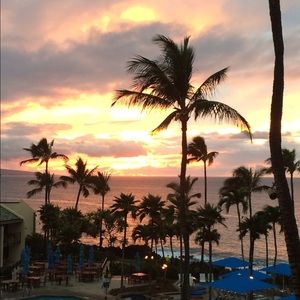 Meet your Posher, Jodi