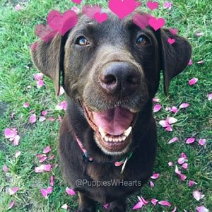 Meet your Posher, Kaitlyn