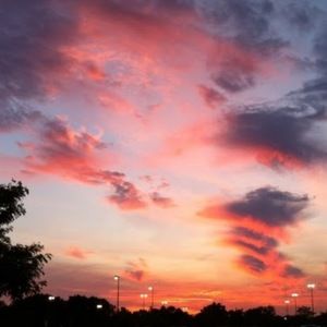 Meet your Posher, Homie