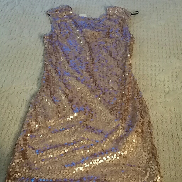 🎉 SALE🎉NWT Rose Gold Sparkle Bodycon Dress