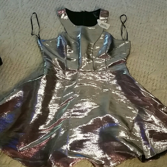🎉 SALE🎉Silver and Pink Skater Fit Flare Dress