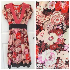 Anthropologie Stunning Floral Silk Dress