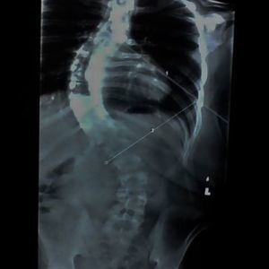 Meet your Posher, Sean