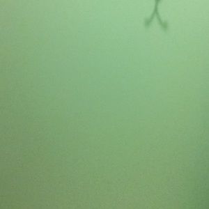 Meet your Posher, Daria