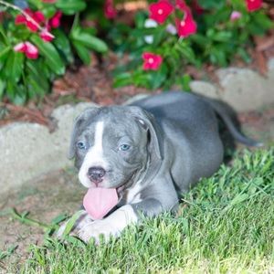 Meet your Posher, Millennia